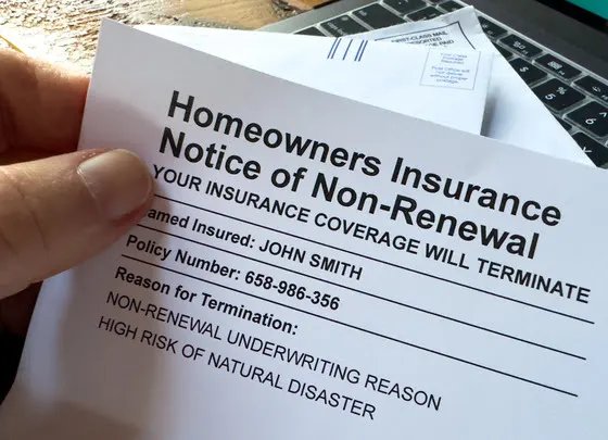 Avoiding Insurance Non‑Renewal: How Roof Age, Upgrades and Market Changes Affect Florida Homeowners