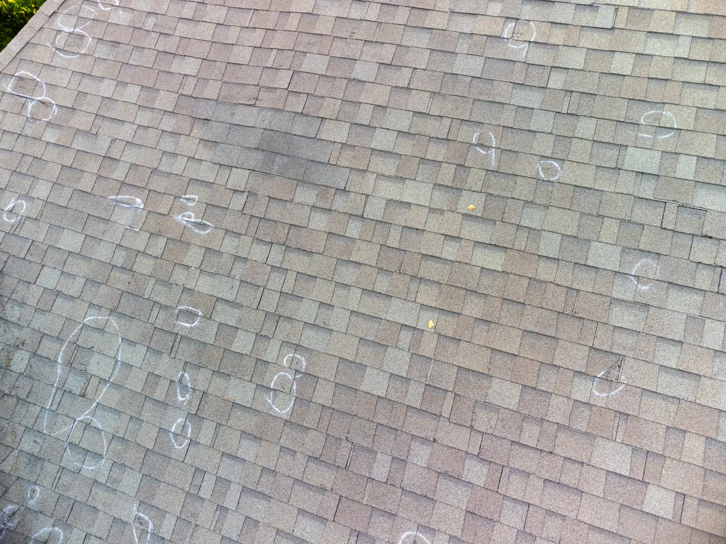 Free Inspection Process